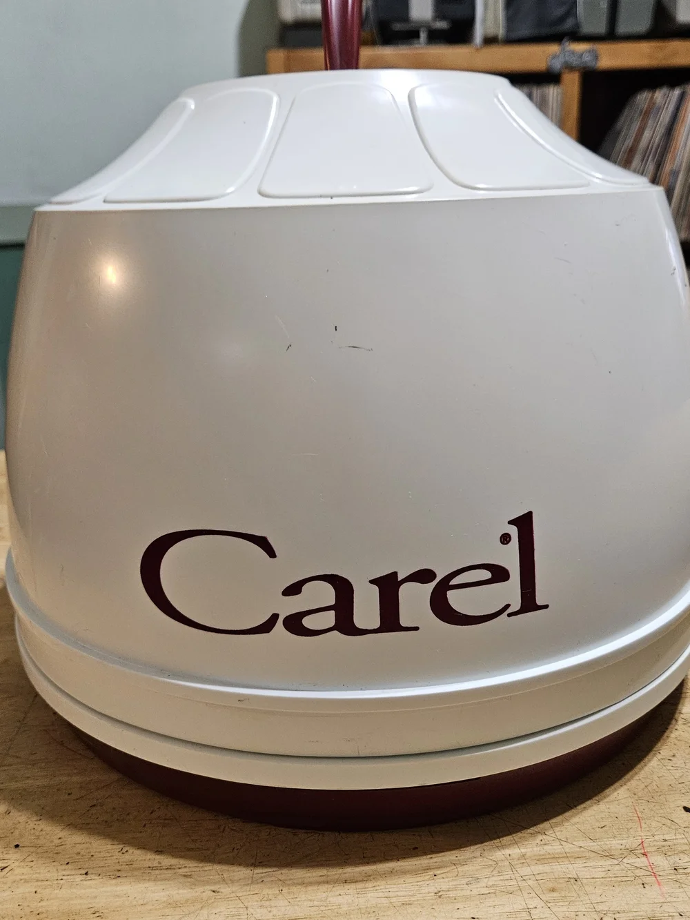 Just Carel carel white